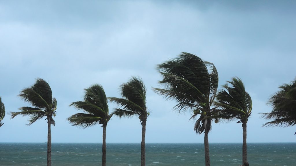 Too Late to Buy Travel Insurance for Rare Hawaiian