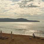 The Summer Travel Season Is Over. Here’s What Record-High Prices Actually Did To Bookings